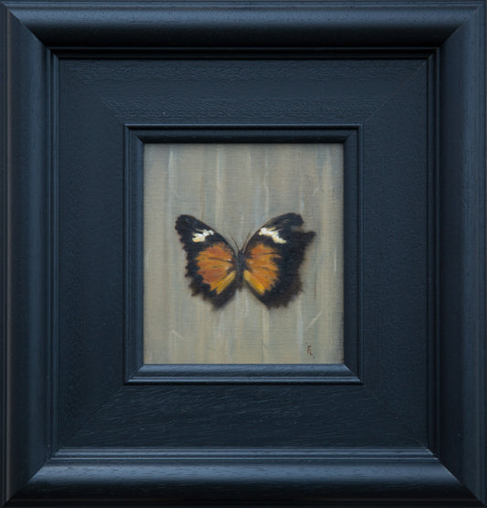 'Orange Winged Butterfly'